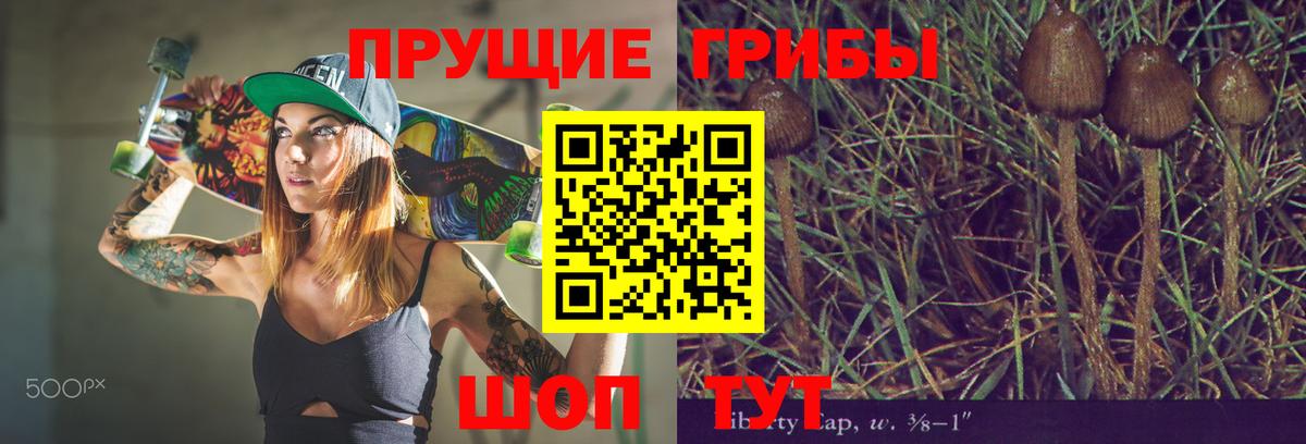 Псилоцибиновые грибы Psilocybe  Псилоцибиновые грибы прущие грибы  Вход с VPN  Арсеньев 